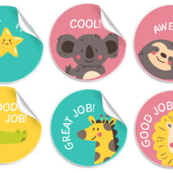 Teacher's Merit Stickers